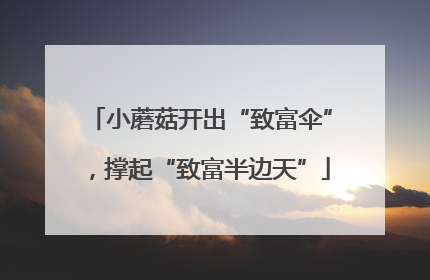 小蘑菇开出“致富伞”，撑起“致富半边天”