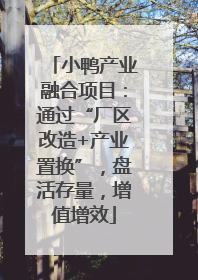 小鸭产业融合项目：通过“厂区改造+产业置换”，盘活存量，增值增效