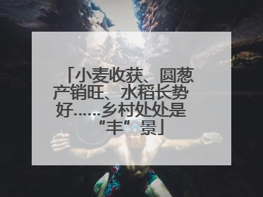小麦收获、圆葱产销旺、水稻长势好……乡村处处是“丰”景