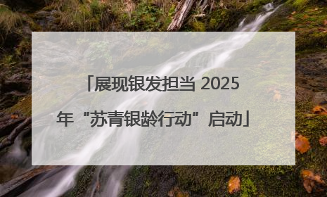 展现银发担当 2025年“苏青银龄行动”启动
