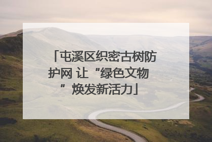 屯溪区织密古树防护网 让“绿色文物”焕发新活力