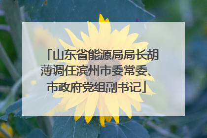 山东省能源局局长胡薄调任滨州市委常委、市政府党组副书记