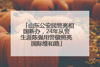 山东公安民警亮相国新办，24年从警生涯陈强用警徽照亮国际维和路