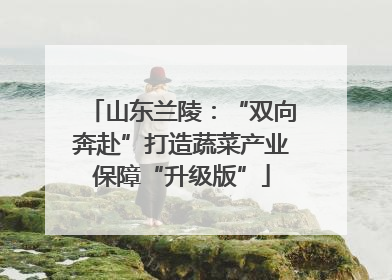 山东兰陵：“双向奔赴”打造蔬菜产业保障“升级版”