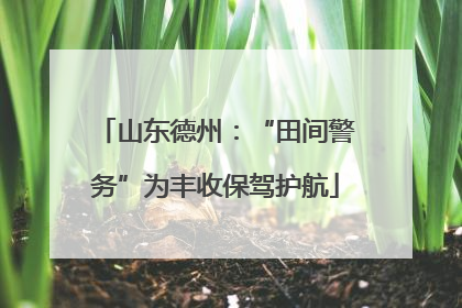 山东德州：“田间警务”为丰收保驾护航