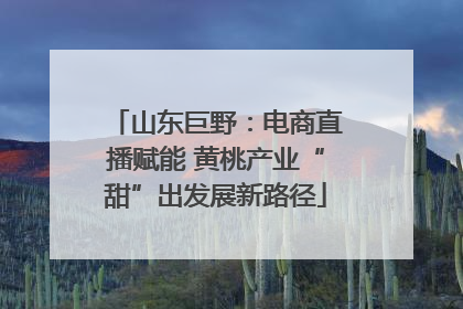 山东巨野：电商直播赋能 黄桃产业“甜”出发展新路径
