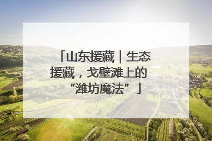 山东援藏｜生态援藏，戈壁滩上的“潍坊魔法”