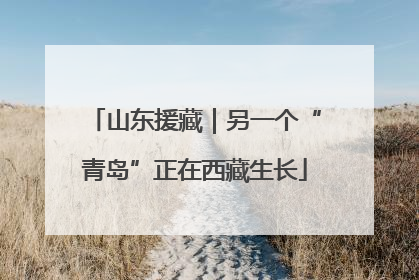 山东援藏｜另一个“青岛”正在西藏生长