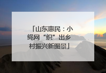 山东惠民：小绳网“织”出乡村振兴新图景