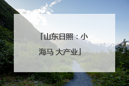 山东日照：小海马 大产业