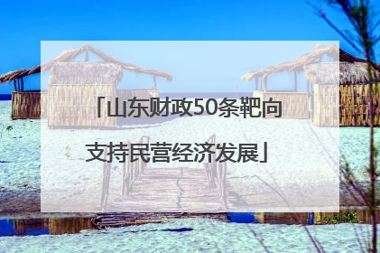 山东财政50条靶向支持民营经济发展