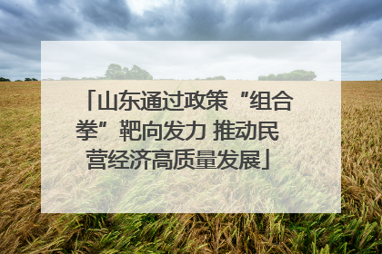 山东通过政策“组合拳”靶向发力 推动民营经济高质量发展