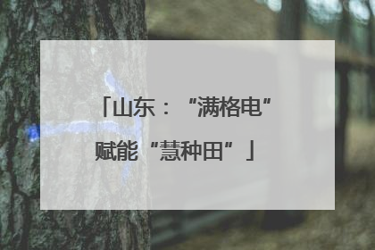 山东：“满格电”赋能“慧种田”