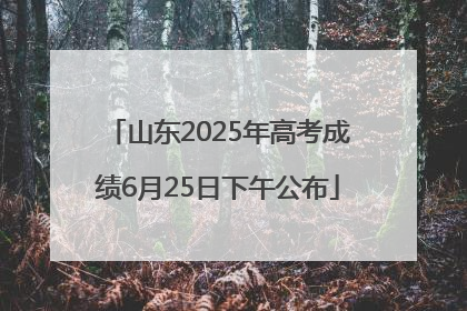 山东2025年高考成绩6月25日下午公布