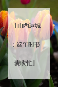 山西运城：端午时节麦收忙