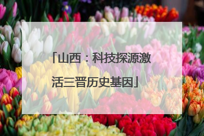 山西：科技探源激活三晋历史基因
