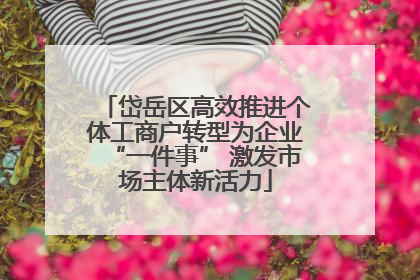 岱岳区高效推进个体工商户转型为企业“一件事” 激发市场主体新活力