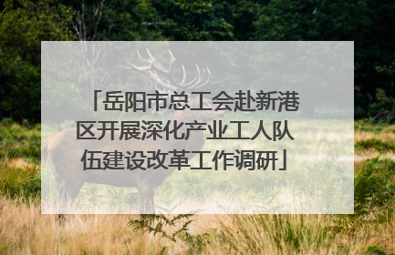 岳阳市总工会赴新港区开展深化产业工人队伍建设改革工作调研