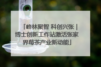 峰林聚智 科创兴张｜博士创新工作站激活张家界莓茶产业新动能