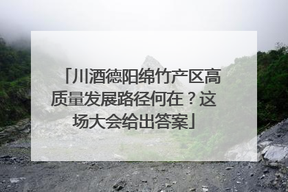川酒德阳绵竹产区高质量发展路径何在？这场大会给出答案