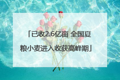 已收2.6亿亩 全国夏粮小麦进入收获高峰期