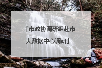 市政协调研组赴市大数据中心调研