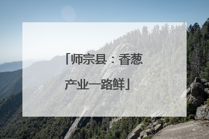 师宗县：香葱产业一路鲜