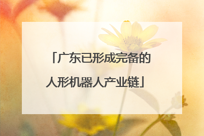广东已形成完备的人形机器人产业链