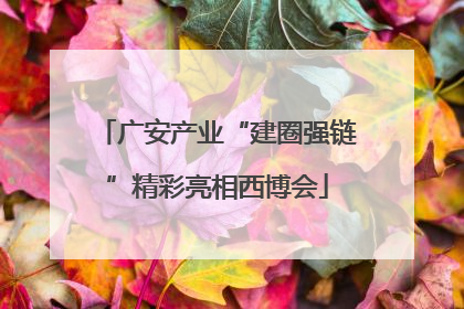 广安产业“建圈强链”精彩亮相西博会