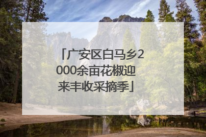 广安区白马乡2000余亩花椒迎来丰收采摘季