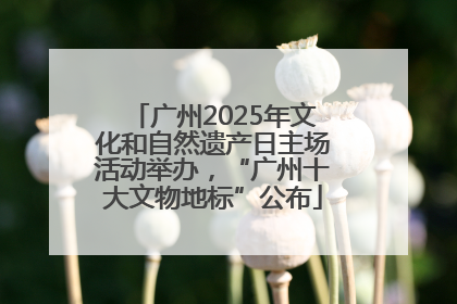 广州2025年文化和自然遗产日主场活动举办，“广州十大文物地标”公布