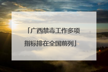 广西禁毒工作多项指标排在全国前列