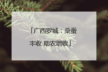 广西罗城：桑蚕丰收 助农增收