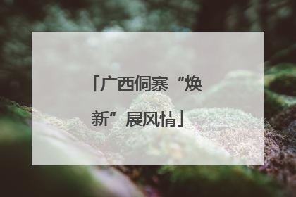 广西侗寨“焕新”展风情