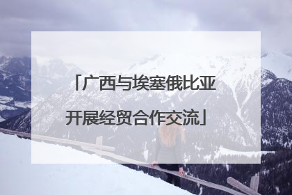 广西与埃塞俄比亚开展经贸合作交流