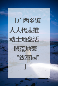广西乡镇人大代表推动土地盘活 撂荒地变“致富园”