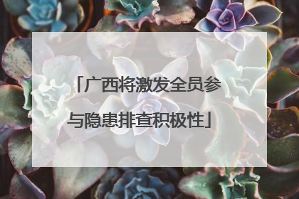 广西将激发全员参与隐患排查积极性