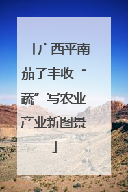 广西平南茄子丰收“蔬”写农业产业新图景