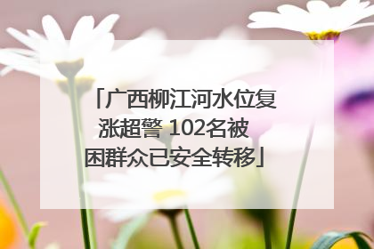 广西柳江河水位复涨超警 102名被困群众已安全转移