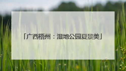 广西梧州：湿地公园夏景美