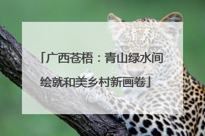广西苍梧：青山绿水间绘就和美乡村新画卷