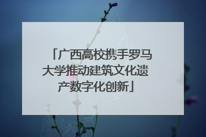 广西高校携手罗马大学推动建筑文化遗产数字化创新