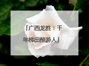 广西龙胜：千年梯田醉游人