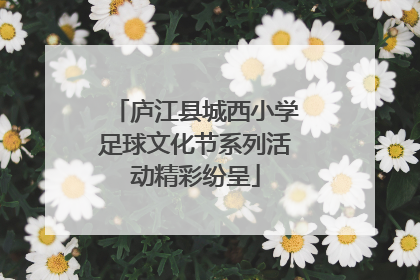 庐江县城西小学足球文化节系列活动精彩纷呈