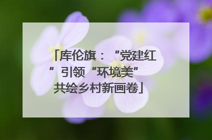 库伦旗：“党建红”引领“环境美” 共绘乡村新画卷