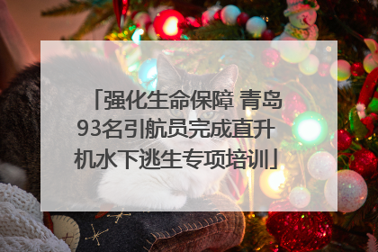 强化生命保障 青岛93名引航员完成直升机水下逃生专项培训