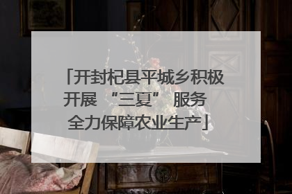 开封杞县平城乡积极开展 “三夏” 服务 全力保障农业生产