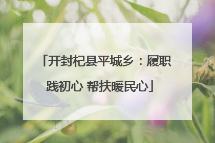 开封杞县平城乡：履职践初心 帮扶暖民心