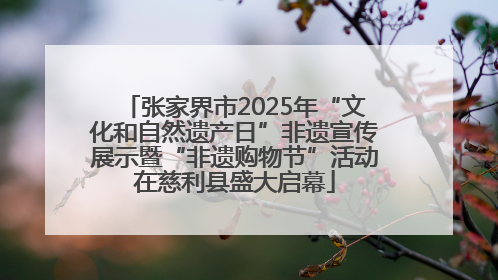 张家界市2025年“文化和自然遗产日”非遗宣传展示暨“非遗购物节”活动在慈利县盛大启幕