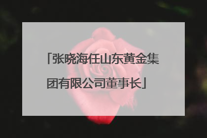 张晓海任山东黄金集团有限公司董事长
